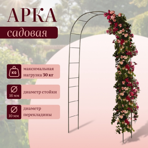 �� 04.02 ��� ��� ���������� � ����� ��� ��� ���� � ������.������, ���������,�����������, ���������. ����� ��������.�����-81