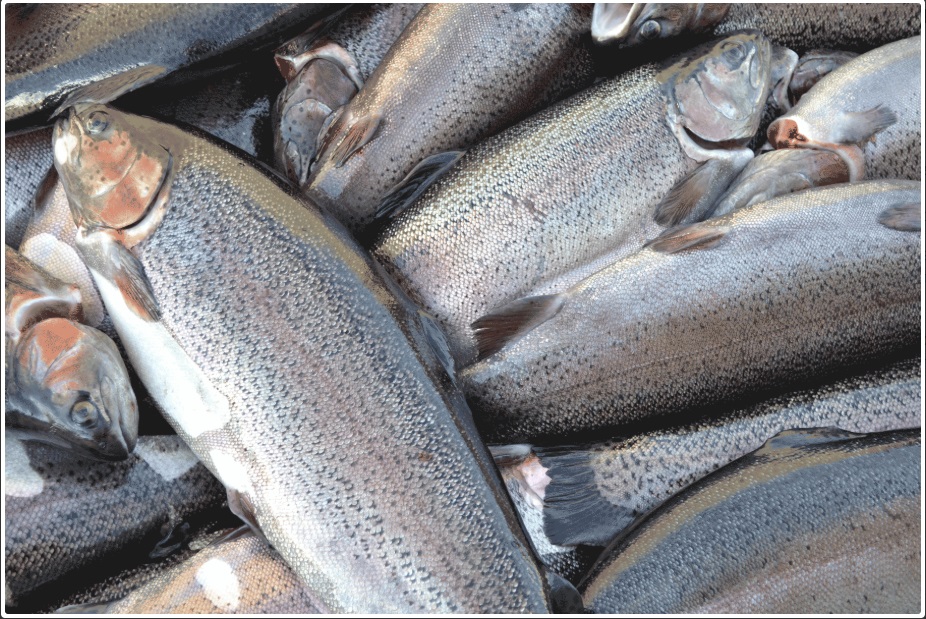 � ���������: ����������� ������. ���������� ��������. �� + �������� � �����.