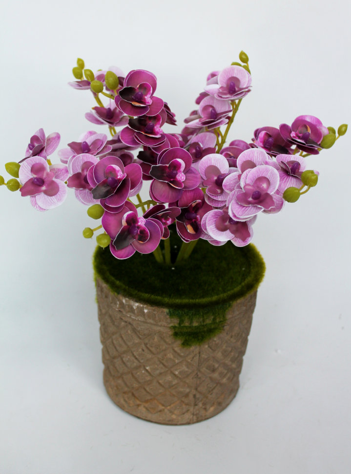 ��������� 2-� ���! �������� 2 ��! �11794  ����� 12 ����� ������� �� ������� "����" ������� 31��