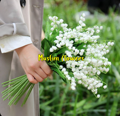 ���������� ������������� ������!