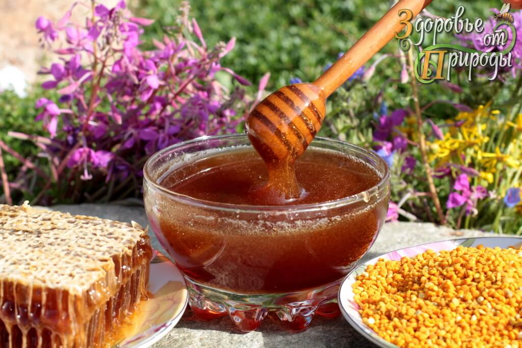 �������������� ����� ����, ����������. ����-���, �������. ��������� � ����������. ������������� -24. ���� 16.02