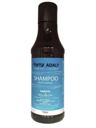 ����������� ������� 2�1 �������� � ���� ������� � �����������, ����������� ����������� ���� �� �������� � ������ �� �������.