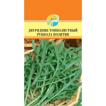 ����������� ���� ����� �������. ������ 18-20 ��, ������� ����� ��������� ����� 20-25 ���� ����� �������. ����� �������-��������� ����. �������� � �����������, ���- ����� � �������� �������� ��� � ������� ����������