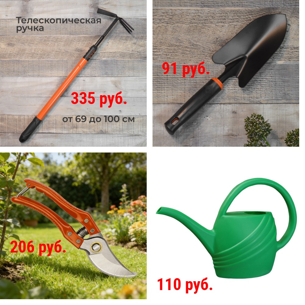 ������-��������� ���������. �������, ������, �������, ��������, �����, �����������, ���������������, �����, ������������ ������ � ������� � ��.��. � �.�. ��� ��������� ��������