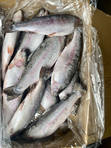 ����� ����!!!������ �/� 800-1200 . ������ . �������-790�!!!����������!!!