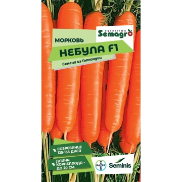 �� 17.02 ������ ������ � ������ �� ���������!������� ������ ��� ���������!�������� ��������� �� ����� �������!!!