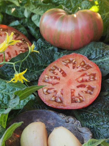 [b]��������� ����� ������ ! ������������ ������������� �������� ������ , ����� � ������. �������� ���������� ������� -3[/b]