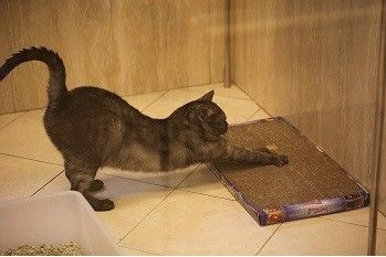 [b]����������� ������� ��� ����� !����� 26-3[/b]