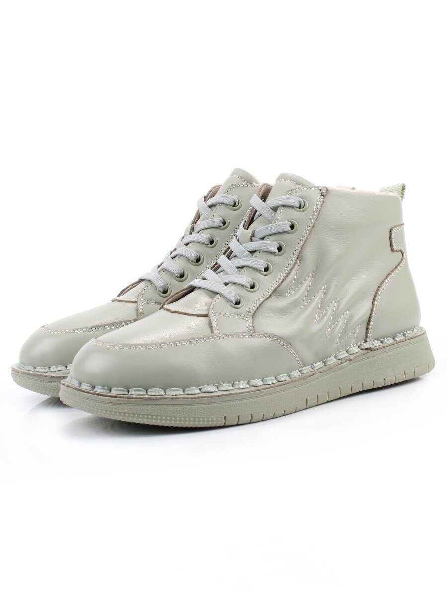 �����. ��������� �����. ����� ��������� �������. ����� ����. �������� ��������.