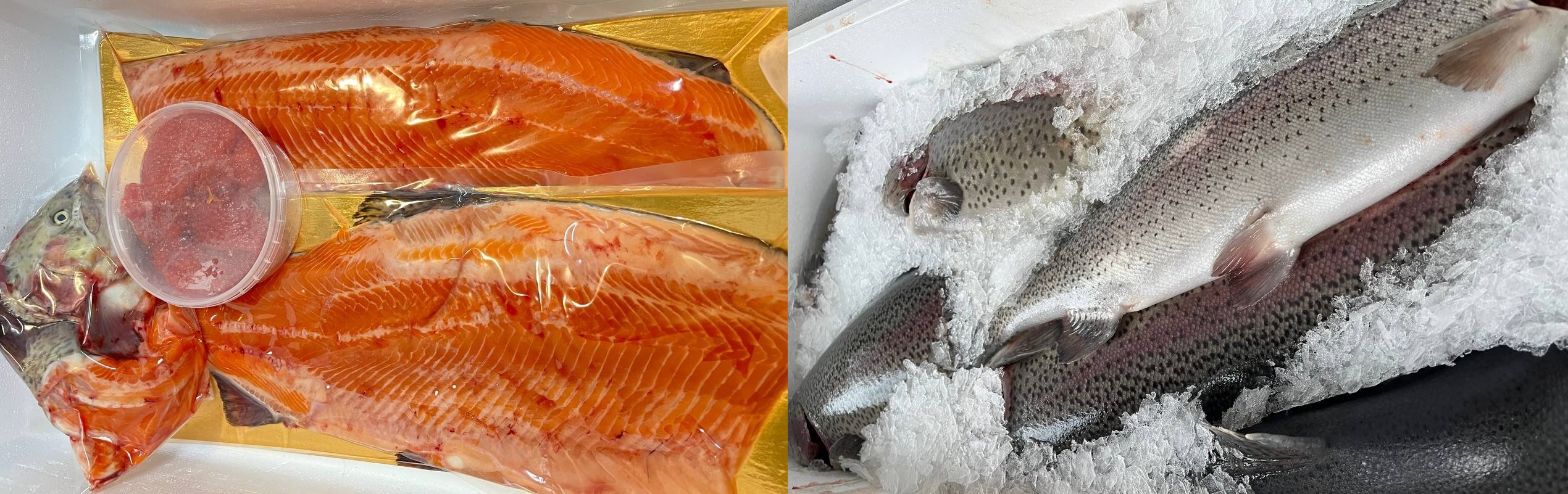 ��������. ����������� ������. ���������� ��������.