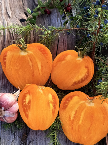 [b]�������� ���� ����� � ������� ������������� �������� ������, ������ � �����. ������������ � ������ �����. 26-2[/b]