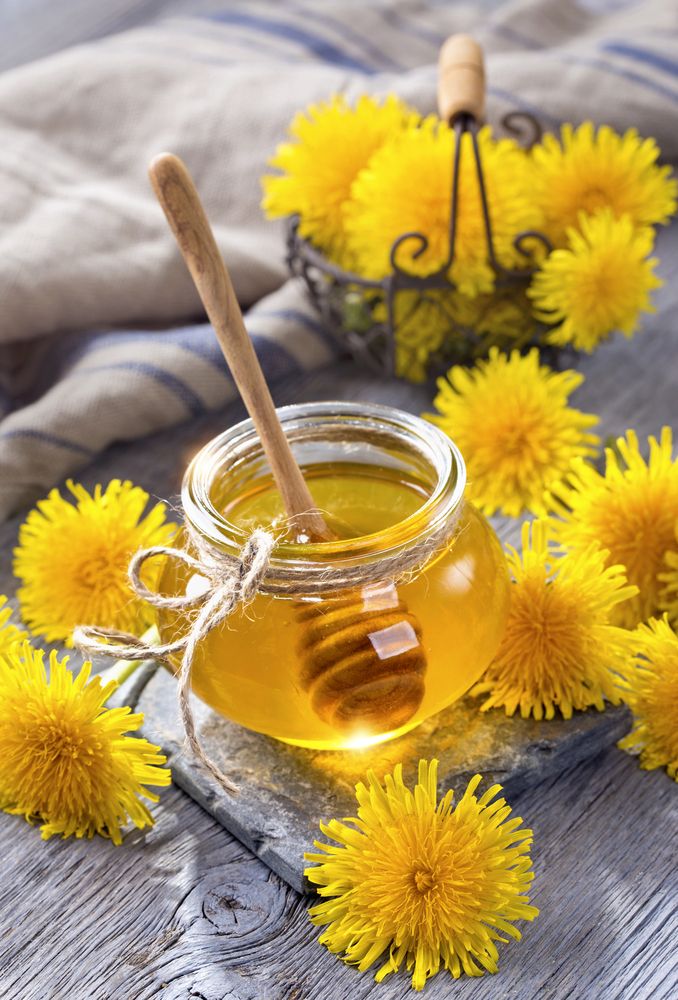 � ���� ������ �� ������������������ - ������������� ͣ�. ������ � ����������, ���������, ������ �������� �����