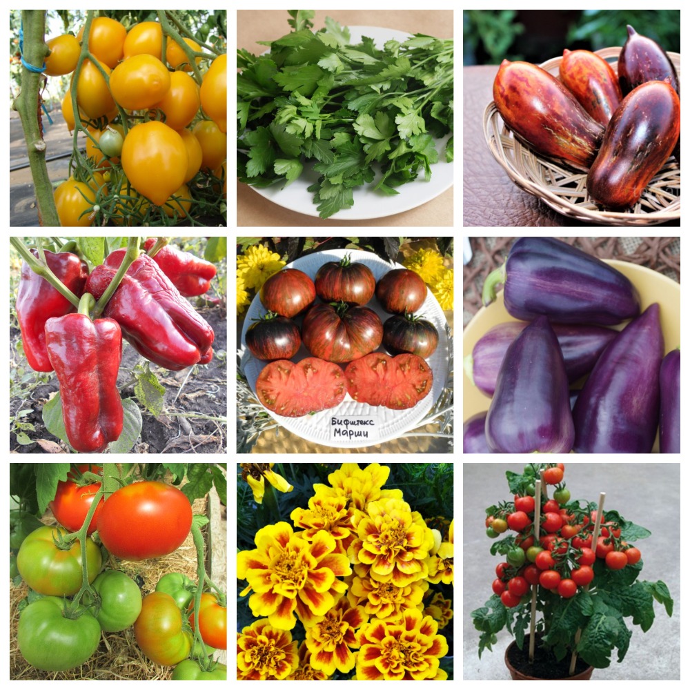 ���� ������� �������� 44. ������������� ������ �� ��������� ��������.net. (�� 08.03).