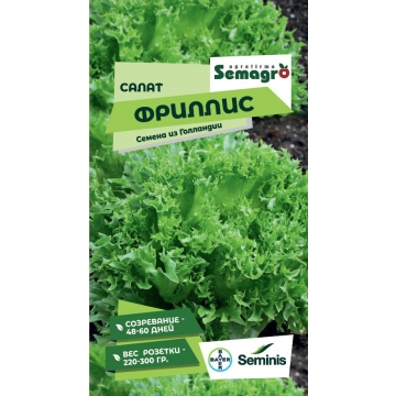 ���� ��������� ������ ���� ������� ��� ����������� � �����������. ���������� ������� ����������� �������� �, ���������� � ������������. �������� ��������. ������ �����-�������� �����, ���������, �������������.