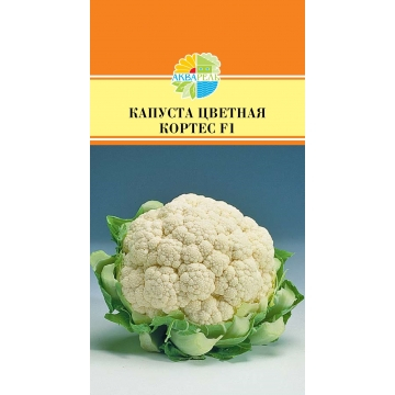 ����������� ������, ������������� ������ 70-75 ����. �������� �������, � ������� �������� ��������, � ������� �������� ���������. ������� �������, ������ 2-3 ��.