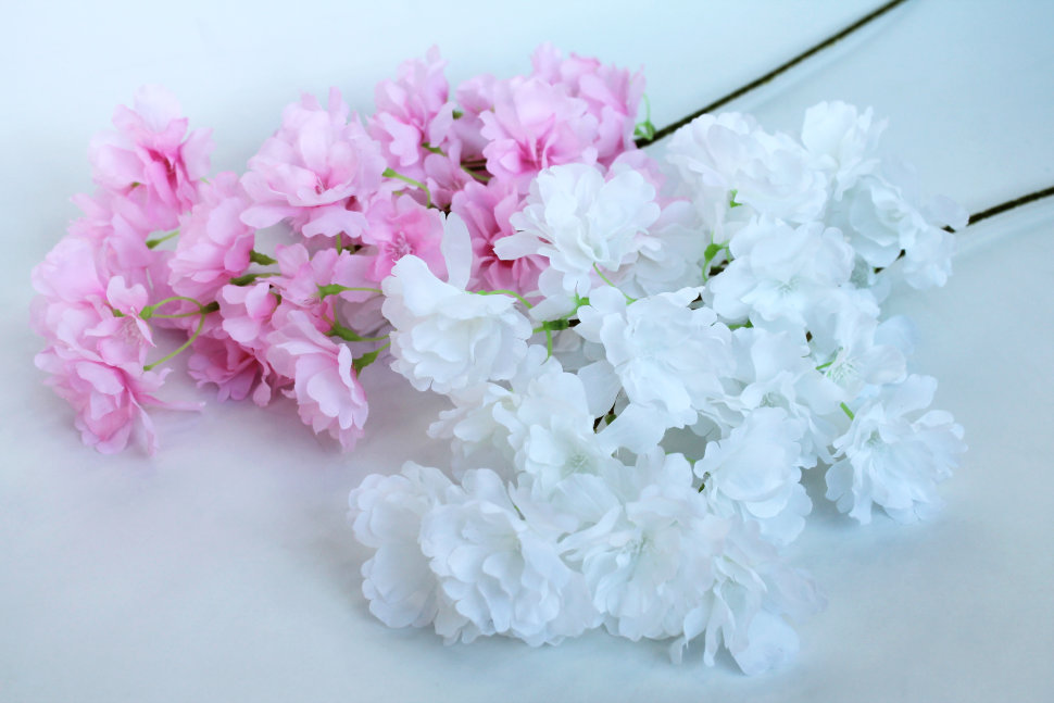 ��������� ��������� �������� �� ������! ����� �������� ������"�����"65�� - �������� 4 �����! 75 ���.+%! ���� ������ - ����� � ����!  