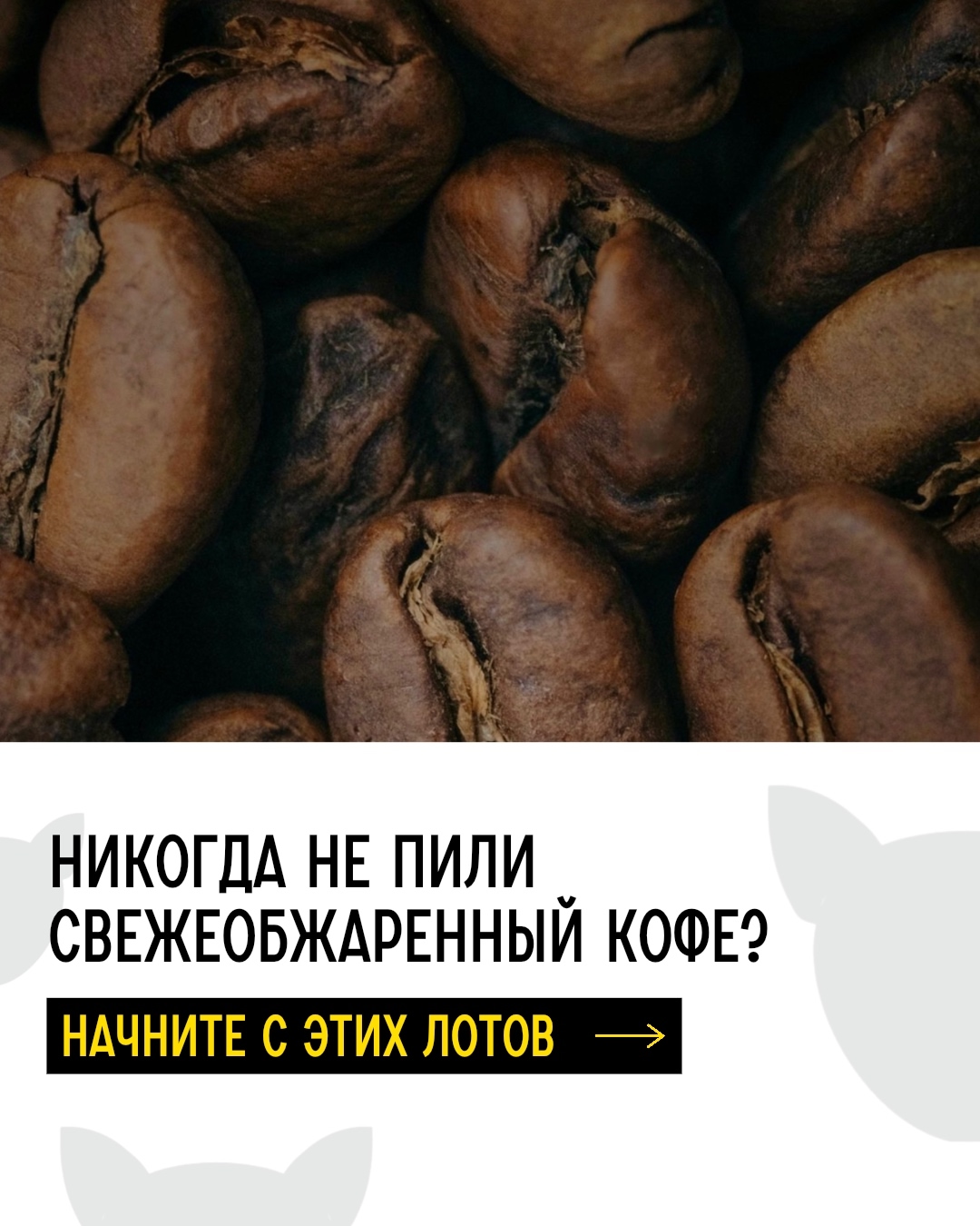 ������� �� ������� �� ������ ��������� - ���� � ������ � ��� �����. � ������������ 100+ ��������� ������ ����. �������� �������� �����, � �������� �� ����� �� ����������