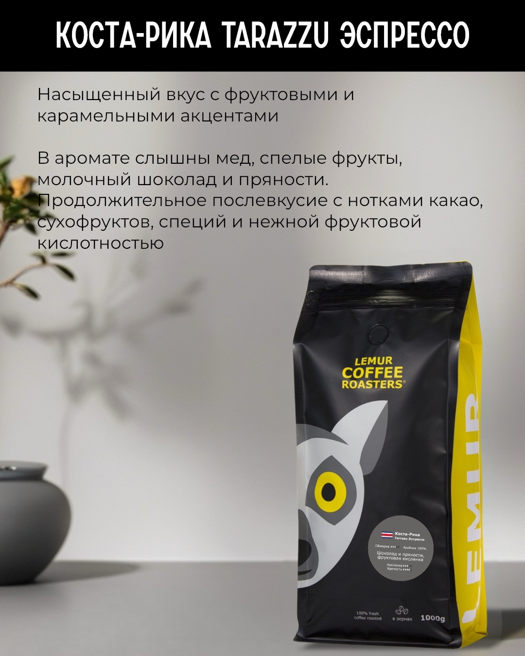 ����� ������� � ������� - ����� ���� TARRAZU ��������