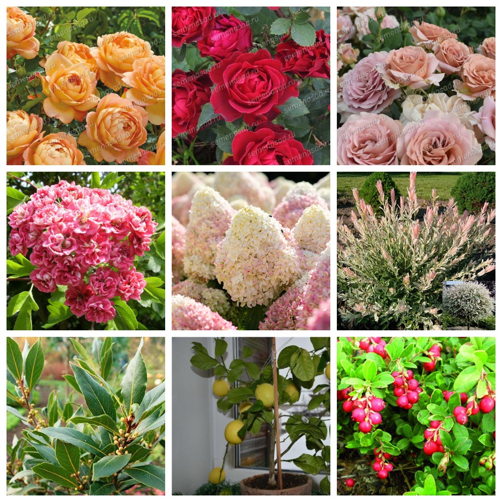 ���� �������. ���� � ������������ � �������� ���������� �� ������ 2.(08.03)