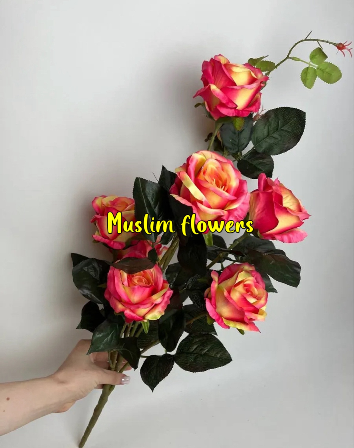 ������� ������������ ����� ��������)))))))