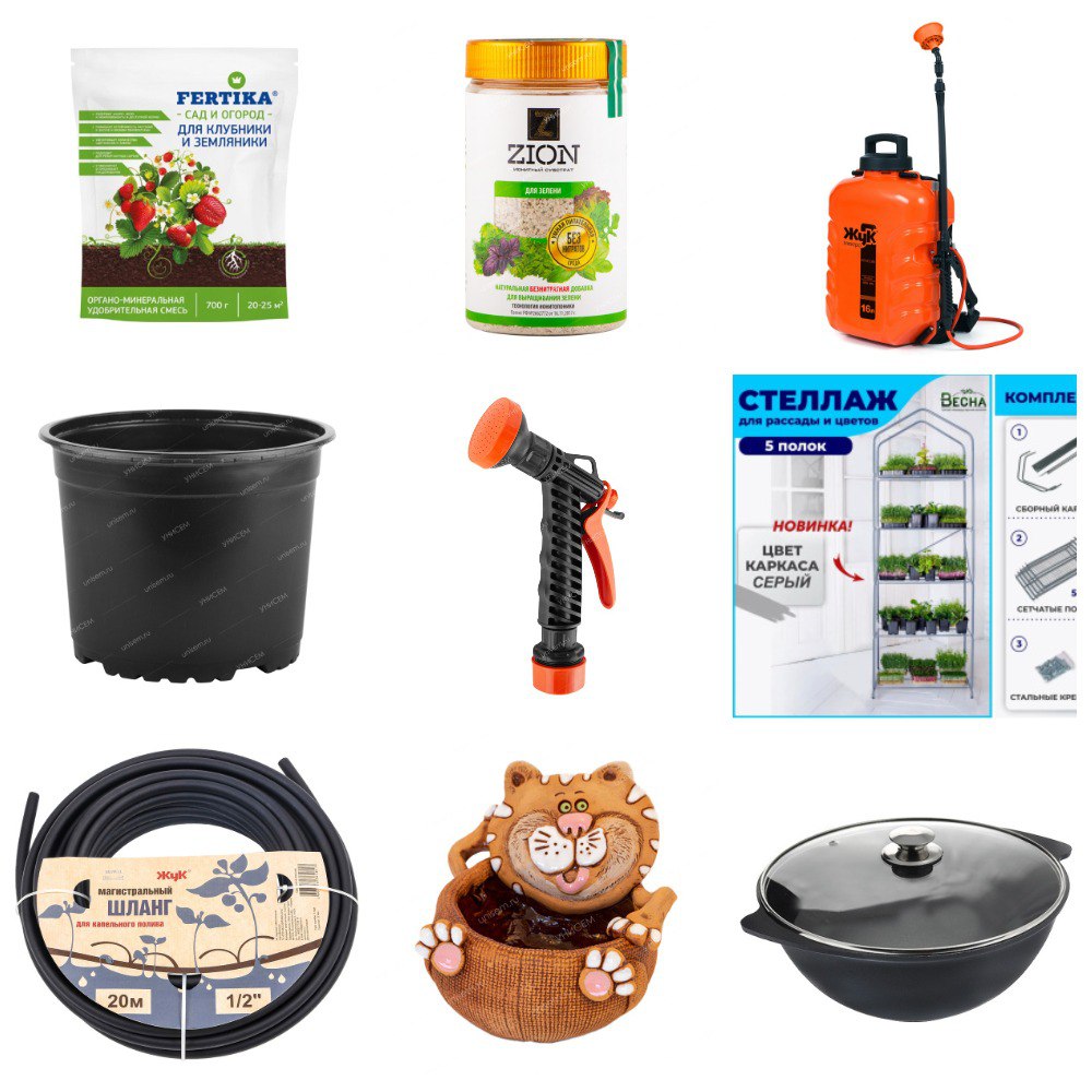 ���� �������. ��� ��� ����� �������� (������) 53. (�� 11.03).