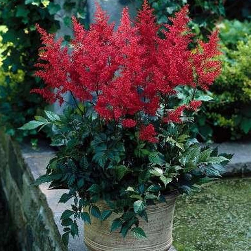 ��������  ...���� 102���+% ������ �����. �������������