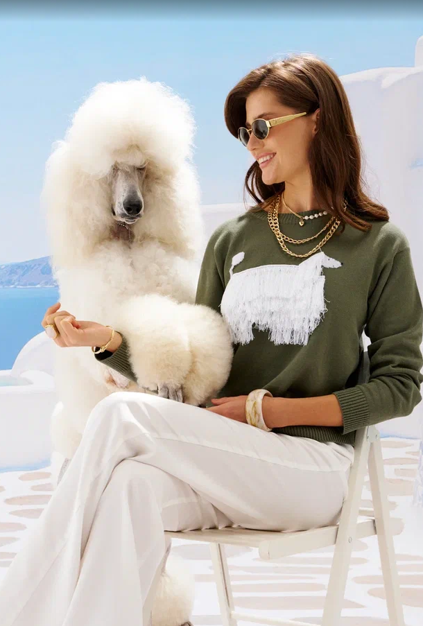 ���� �������. ������! �����-���� 2026! �� ���������� �������! ��������� �����-���� �������� � ������! 