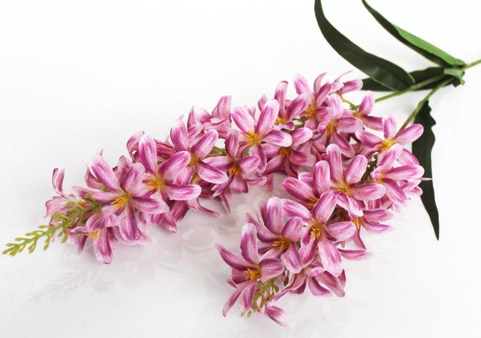 �������� 2 �����! �11916 ������� ������ ���������� ������ ������� 97��