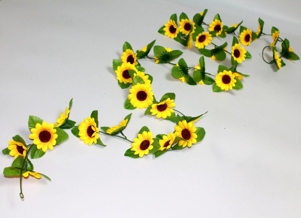 �������� 1 �����. ������������! ��12012 ����� ���������� ������������ 35 ���������, ����� 220��