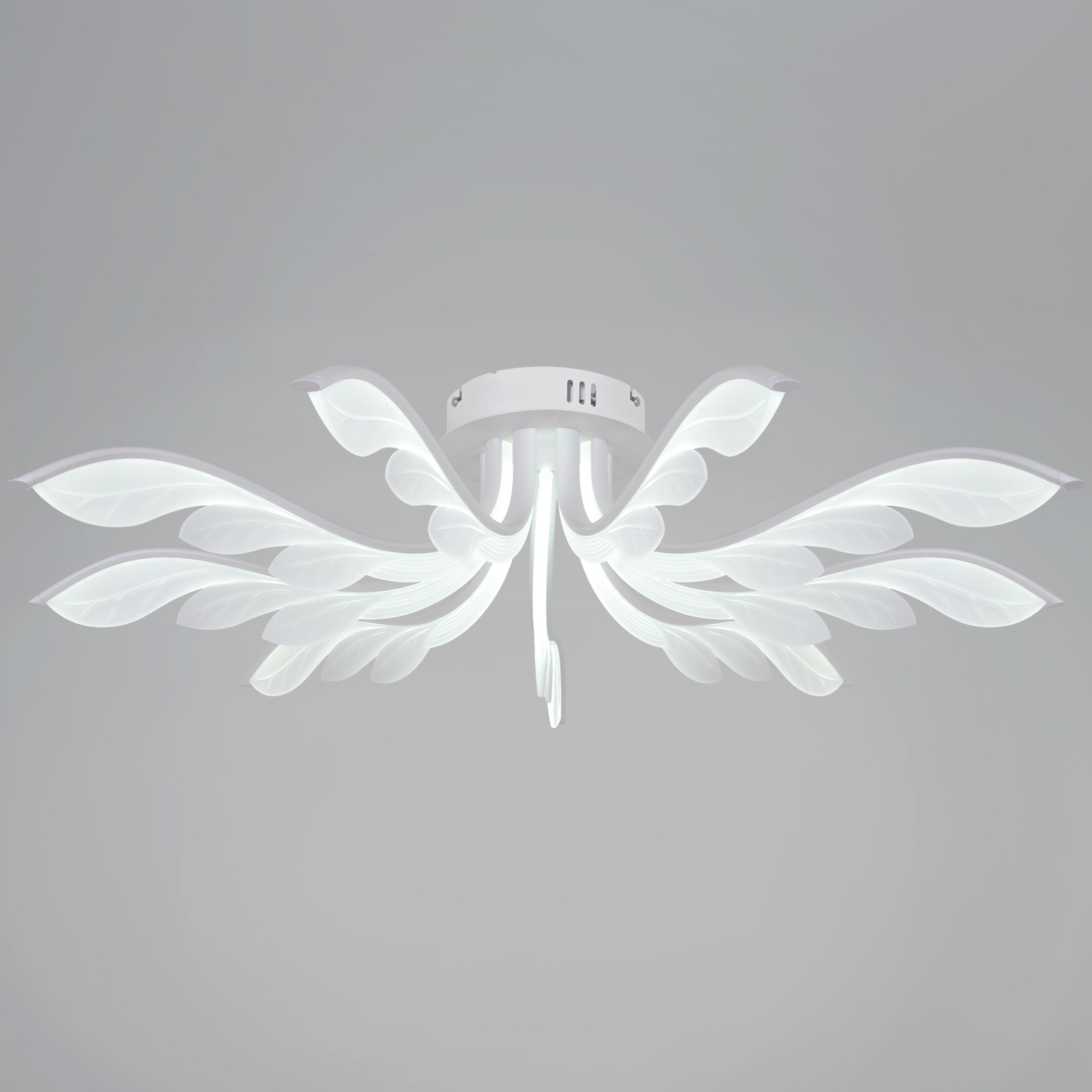 ������ ������������ � ��������. �������. ������� ���������. �������� � ������������� �����������. ����������. ���� � 2 ���� ���� ����������.426