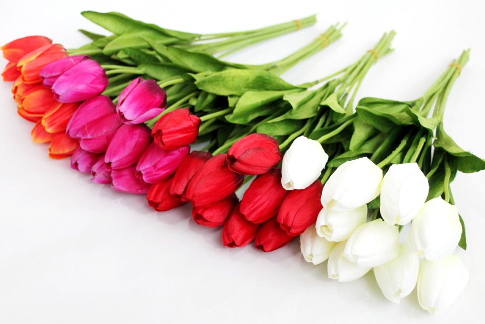 ��������� �������! ���� ������! ������� ��������� 50�� - �������� 14 ��! 25 ���.+%