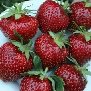 [b]���� �� 22.03.��� � �������: ��������,�����,��������,���������,����.[/b]