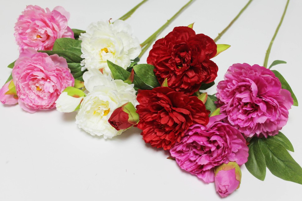 ��������� ��������� �������� �� ������! �/� ����� ����� "����� �����"2���. � ���.70�� - �������� 2 �����!  125 ���.+% ����� � ���� - ���� ������!