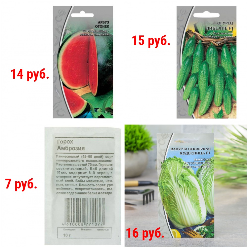 ������ ������ 7-16 ���. + �������