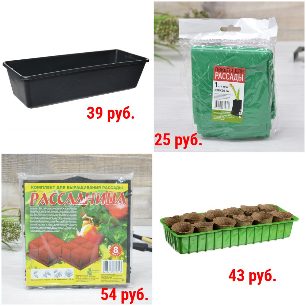 ������, ����� � ������ ��� ������� �� 25 ���. ������ � ��������� ���������� �� 69 ���. + �������