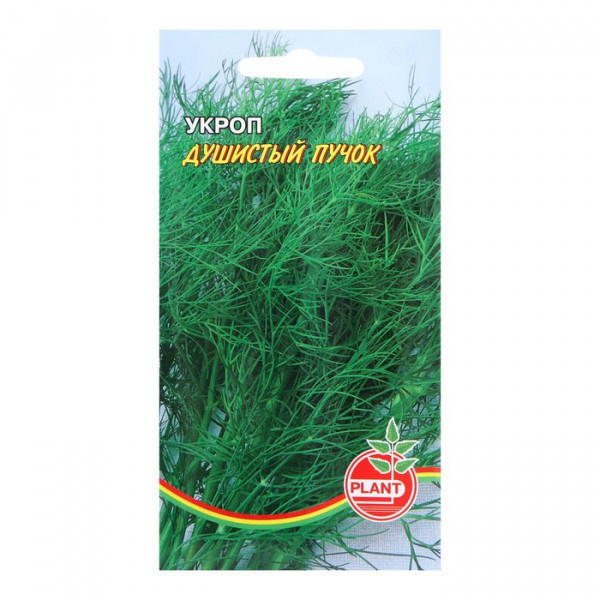 ����� ����� 33. ������ ������ � ���������, ������ ��� �����. ������� �����.