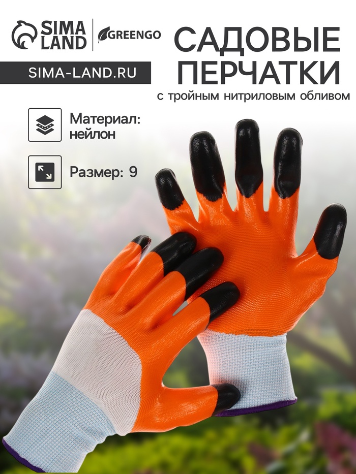 ����� ����� 33. ������ � ����� ��� ����: ����, ������, ������, ������, ��������, �����������, ��������, ������� ��� ������������ � ����� ������, ����������� ��� ������������.