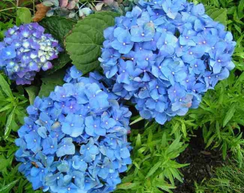 ���������, ������, ������, ��������, ��������� � ������ ������