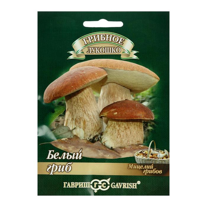 ����� ����� 33. ������ �������, ������, �������, ������� ������, ������ ��� �����. ������� �����.