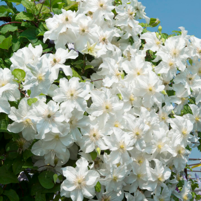 [b]���� �� 24.03. ���������-����.����,�����,���������,�������� � �������.[/b]