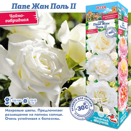 ����, ������������� �������, �� -30 ��� �������