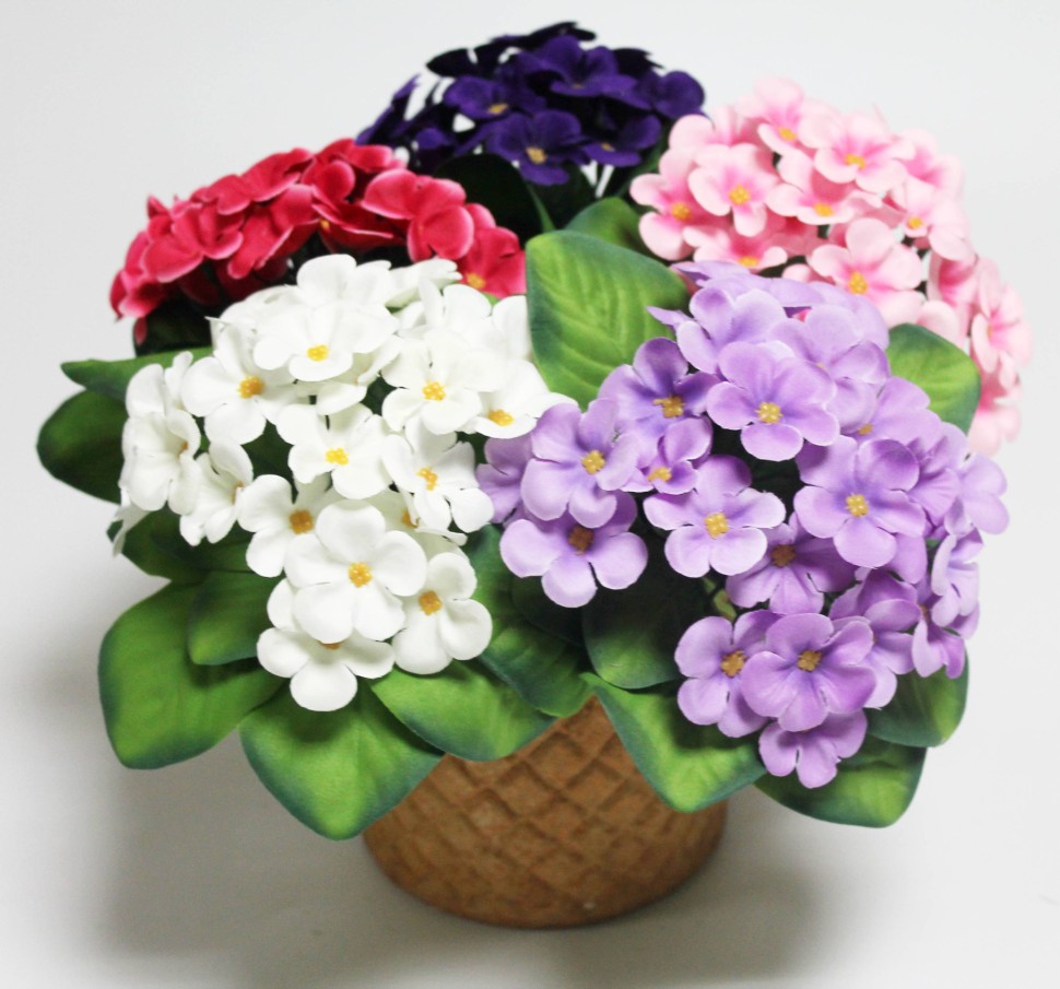 ��������� S*A*L*E! ����� �������� ������������� ����� � ������! ��� ���������� � ���������! ���� �� 10 ���! ����� ��� ������ - ���� ��� ����! ���� �������! �-24.