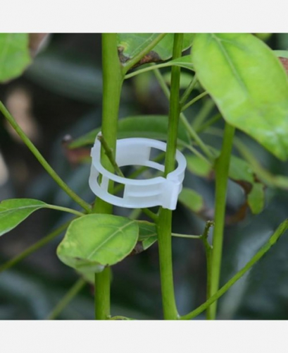 ������ ��� �������� ��������