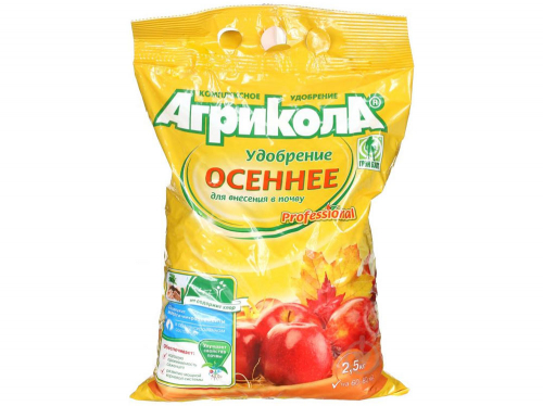 ��������� � ������-��������� ���������