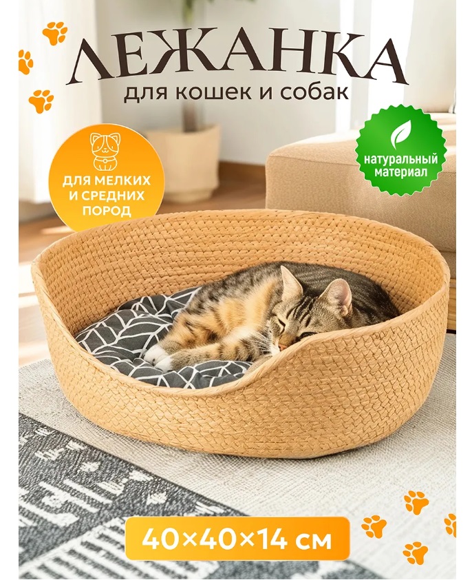 ���-��� ��������! ���������� ������ ���������!!