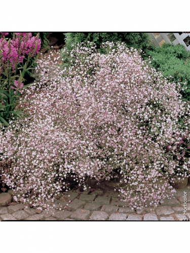 ��������� �������, ���������� ����� � ������������