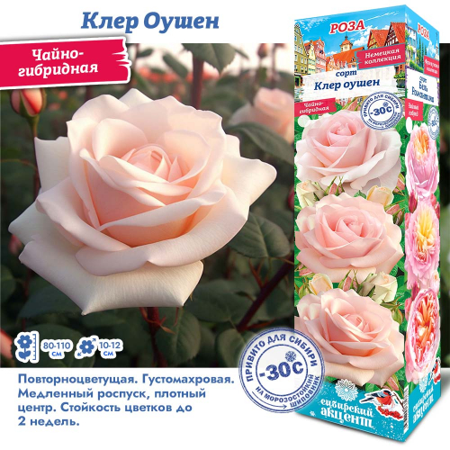 ���� �������. ������������� �� -30 ��� �������