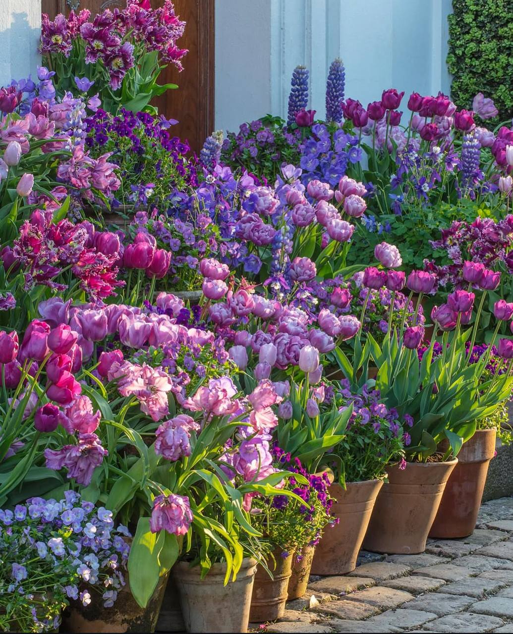 ���������� �� ������������ ���������! ���������! ��������. ��������� �� ����� 2026.