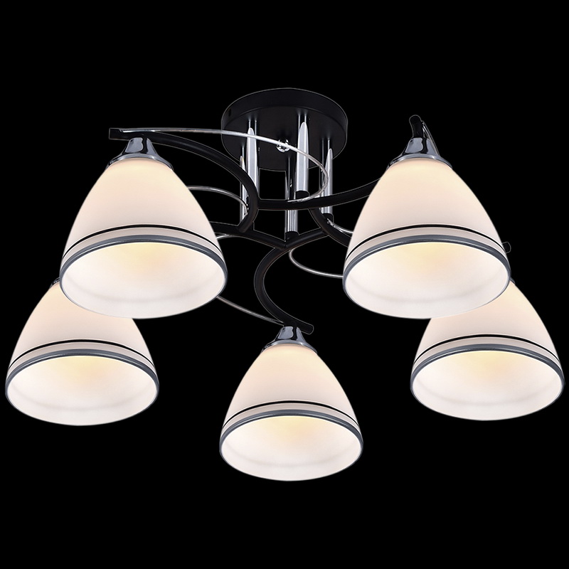  ��������� ������, ������-�������, ���, �����. ���������� �����, c����������� �����, ����.426/2