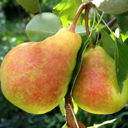 ����� ����-��� ����� ������� � ����,������� ������ � ����� �������!!! ����� ����������! 